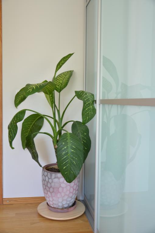 וילנה Apartments With Outdoor Spa Jacuzzi And Sauna מראה חיצוני תמונה
